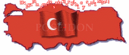 bayrak.gif